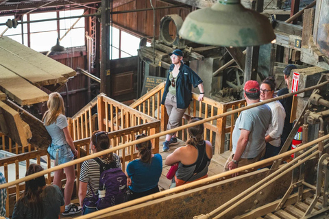 Denver: Argo Gold Mill & Tunnel Guided Tour