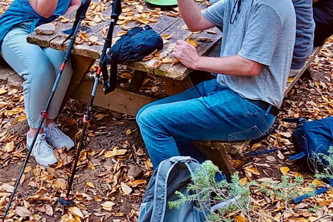 Québec : randonnée guidée dans la taïga boréaleQuébec : Randonnée guidée dans la taïga boréale