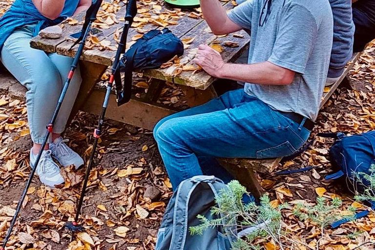 Québec : randonnée guidée dans la taïga boréaleQuébec : Randonnée guidée dans la taïga boréale