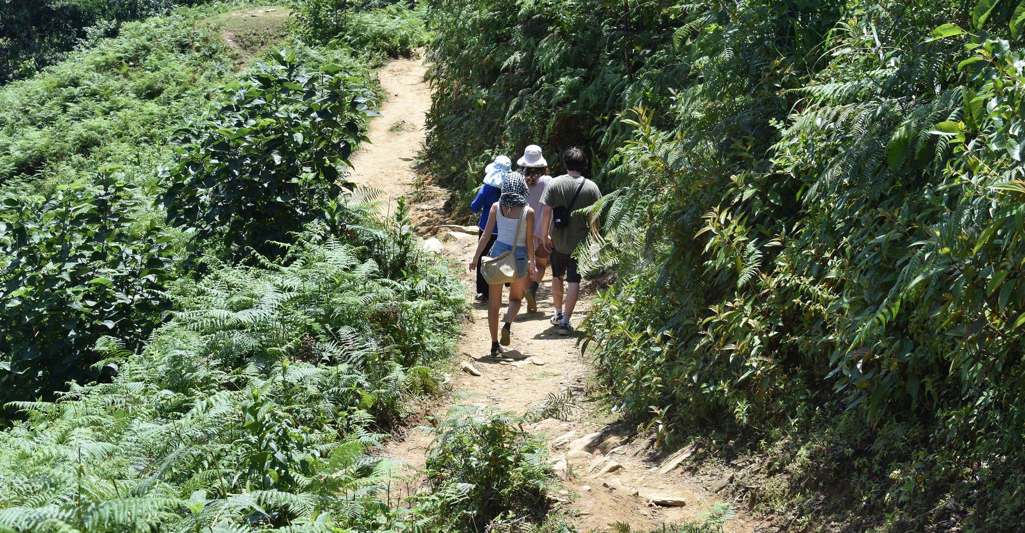 From Sapa, Muong Hoa Valley View & Village Trek 1-Day - Housity