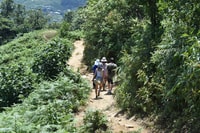 Desde Sapa, Muong Hoa Valley View & Village Trek 1-Day - Housity