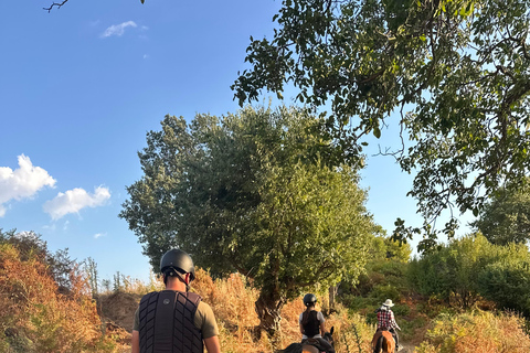 2-Day Gjirokastra & Durres: Horse Riding & Culture Tour Trip