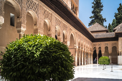 From Malaga: Bus Tour Granada - Alhambra Complete: Visit with Official Guide From Malaga: Granada Bus Tour - Complete Alhambra: Visit with Official Guide