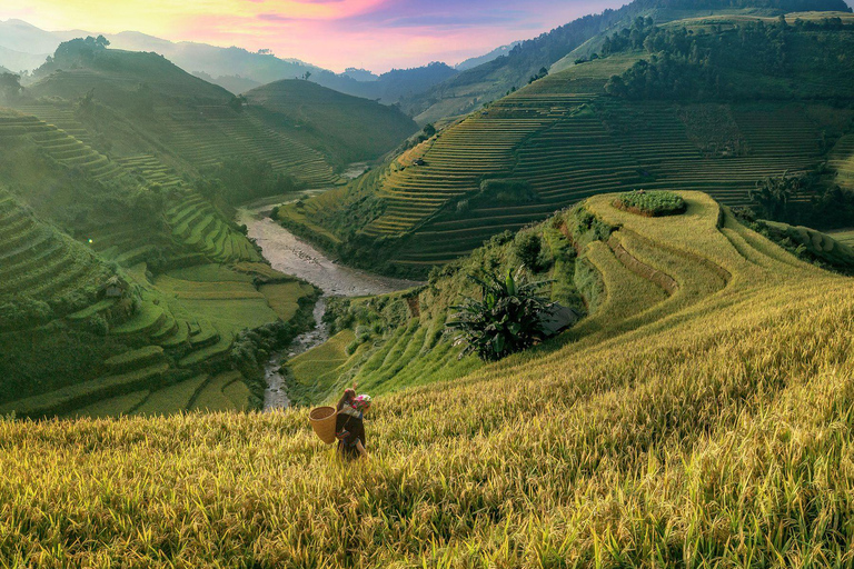 Pacchetto Sapa Tour di 1 giorno e 1 notte con trekking