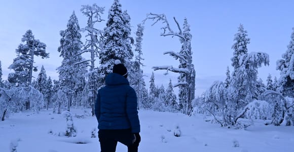 Saariselkä: Snowshoeing Tour in Urho Kekkonen National Park