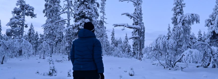 Saariselkä : Randonnée en raquettes dans le parc national d'Urho Kekkonen