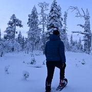 Saariselkä: Snowshoeing Tour in Urho Kekkonen National Park