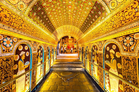 Kandy: Trincomalee Guided Cultural Heritage & Coastal Tour