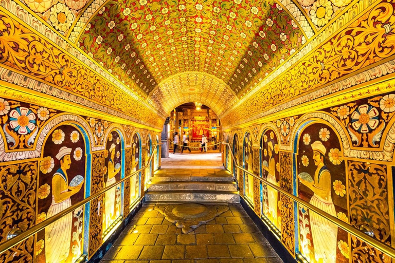 Kandy: Trincomalee Guided Cultural Heritage & Coastal Tour