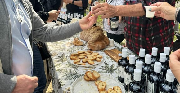 From Matera: Olive Oil Experience in Tricarico with Transfer