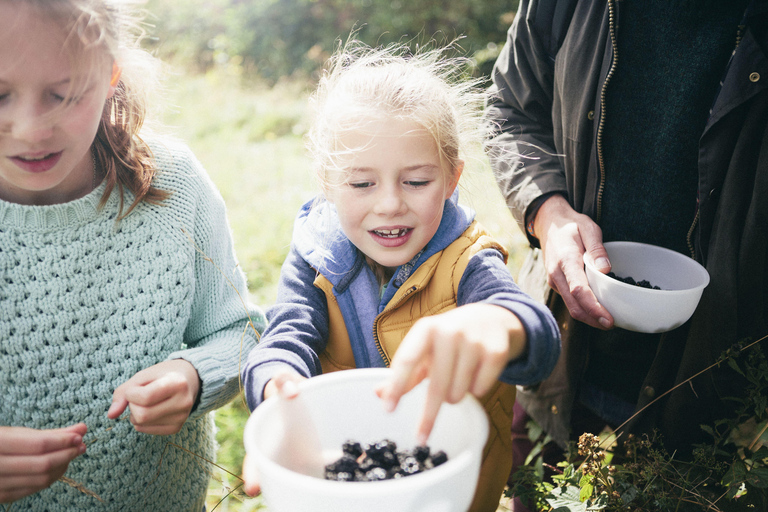 Helsinki: Berry picking with guide & Finnish BBQ + Photos