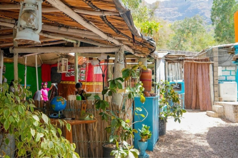 Santiago: Visit the largest banana and coconut plantation & botanical garden From the Beach: Visit a Banana and Coconut Plantation & Botanical Garden with Tastings