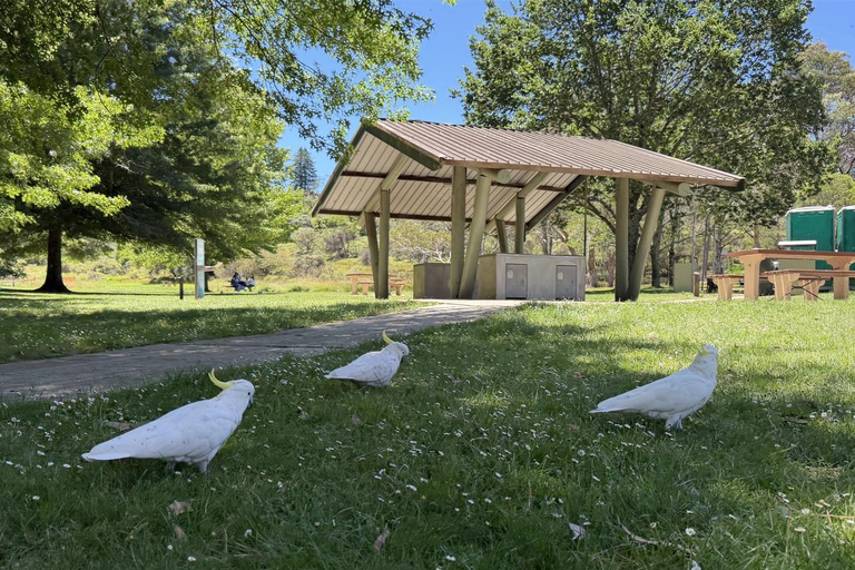 Blue Mountains Tour, Katoomba Falls & Cockatoos Small Group Blue Mountains ：Small Group + Cockatoos & Katoomba Falls&Ja