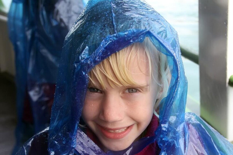 Niagara Falls, USA: Day & Night Small Group Tour with Dinner Shared Tour