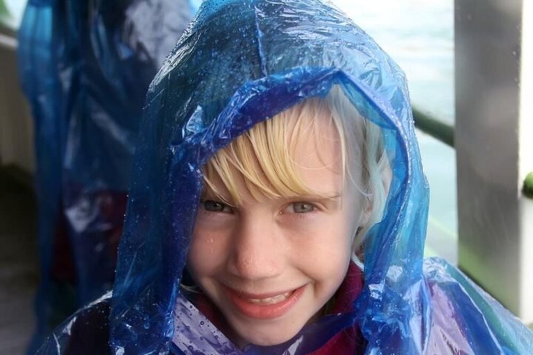 Niagara Falls, USA: Day & Night Small Group Tour with Dinner Shared Tour