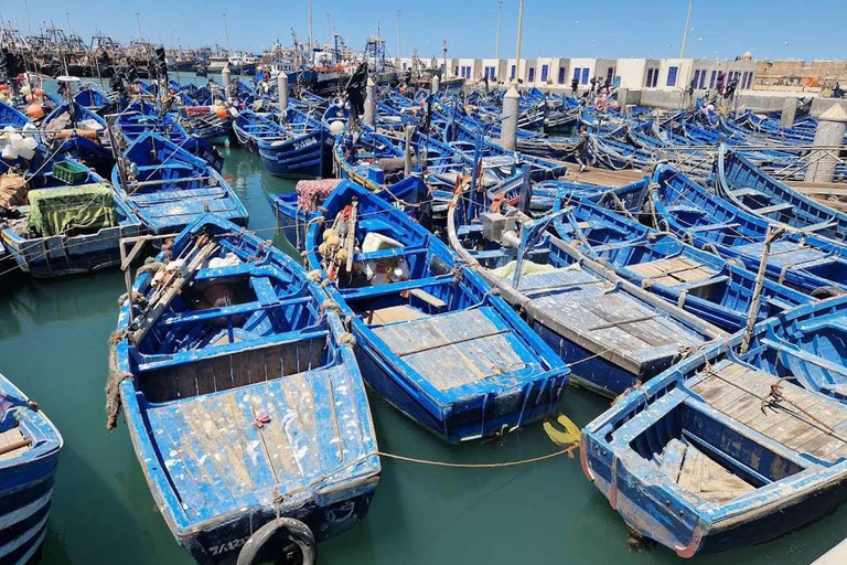 Essaouira Day Trip from Marrakech: Medina & Atlantic Coast Private Essaouira Day Trip
