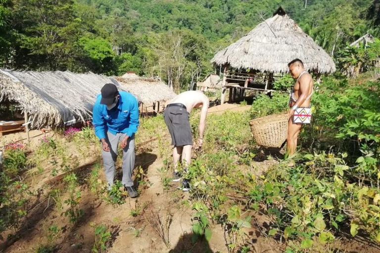 Panama City: Tour notturno del villaggio di Emberá