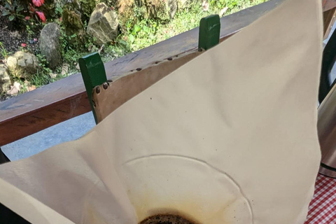 Medellín: Luxury Coffee Farm Tour with Tastings