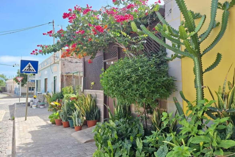 Boa Vista: Hike to Odjo d'Mar, colorful villages & lunch
