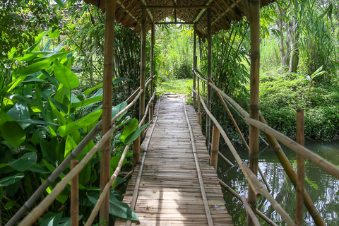 Chiang Mai: Esperienza di coltivazione di bufali e riso thailandeseChiang Mai: Esperienza di piantagione di riso e bufali thailandesi