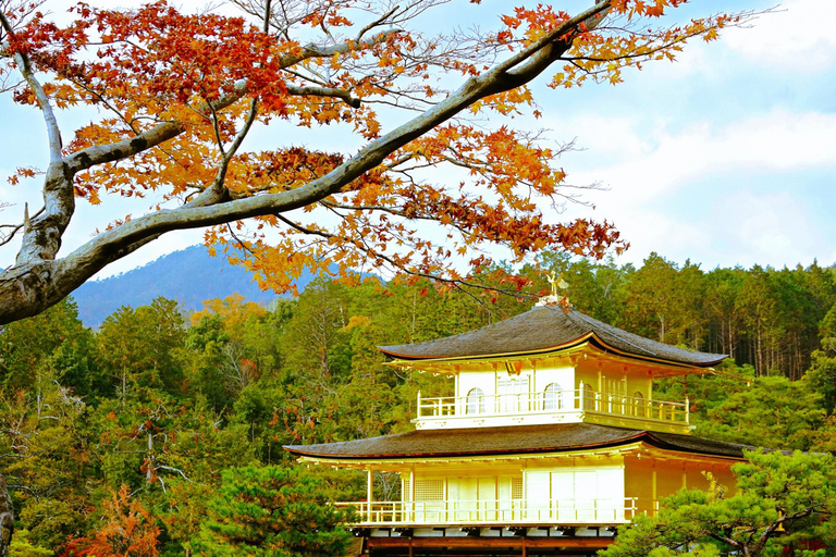 Osaka: Kyoto Scenic Day &amp; Night Busstur med Kobe Beef