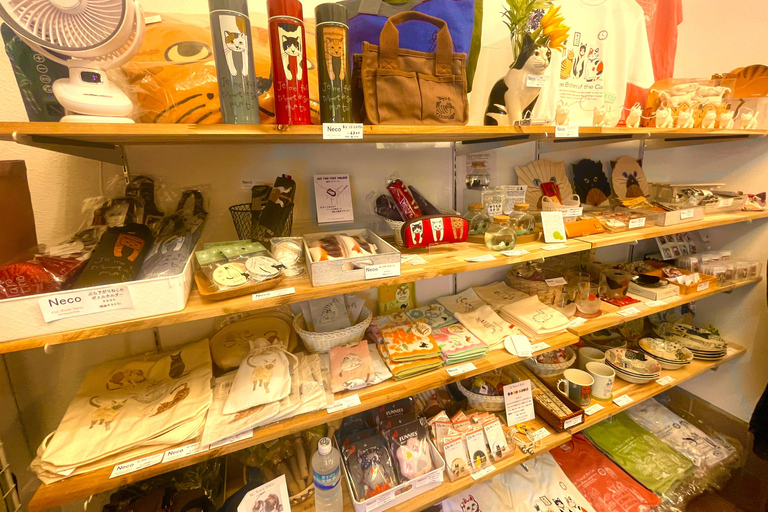 Tokyo: Gotokuji Cat Temple, Shinjuku Cat Cafe & 3D Cat Tour