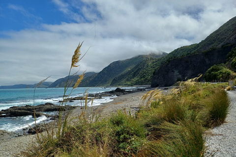 Kaikōura: Small Group Tour- optional Whale, Dolphin, Zipline Kaikōura Guided Day Tour - No Optional Extras