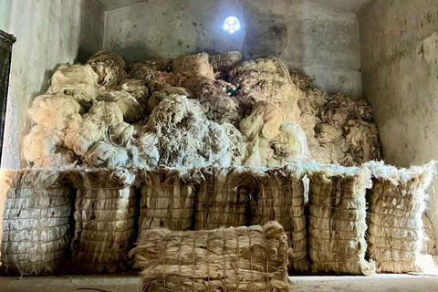 Motul, Hacienda, Xcambo, Pink Salt Mine & Progreso Day Trip