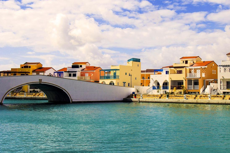 Cyprus: Private Day Trip to South Coast with a local