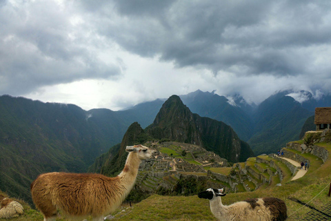 From Cusco: Machu Picchu 2-Day Train Tour with Hotel