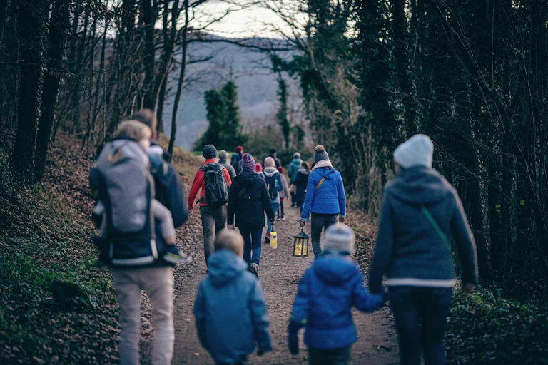 Starting from Colmar: a nature walk and a visit to the Christmas market Starting from Colmar: nature walk and Christmas market visit