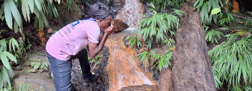 Visite de la forêt tropicale de Tobago
