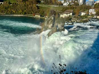 Basel: Schaffhausen & der größte Wasserfall des Rheins Private Tour