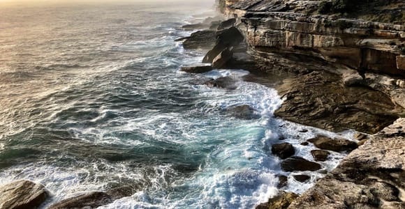Coogee to Bondi Coastal Walk & Lunch at Bondi Icebergs