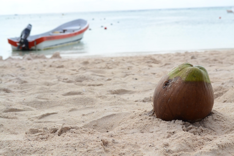Akumal Bay: Cenoten und Schnorcheln mit SchildkrötenAbholung ab Cancún