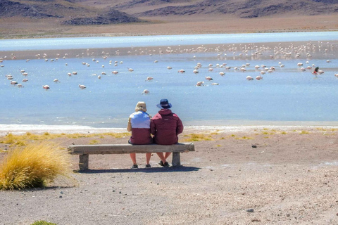 Vanuit Uyuni: 3-daagse tour naar San Pedro met bezoek aan Salinas