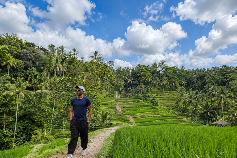 Ubud: Zipline Adventure Above Rice Terraces with Tour Guide Car Round Transfer No Ticket