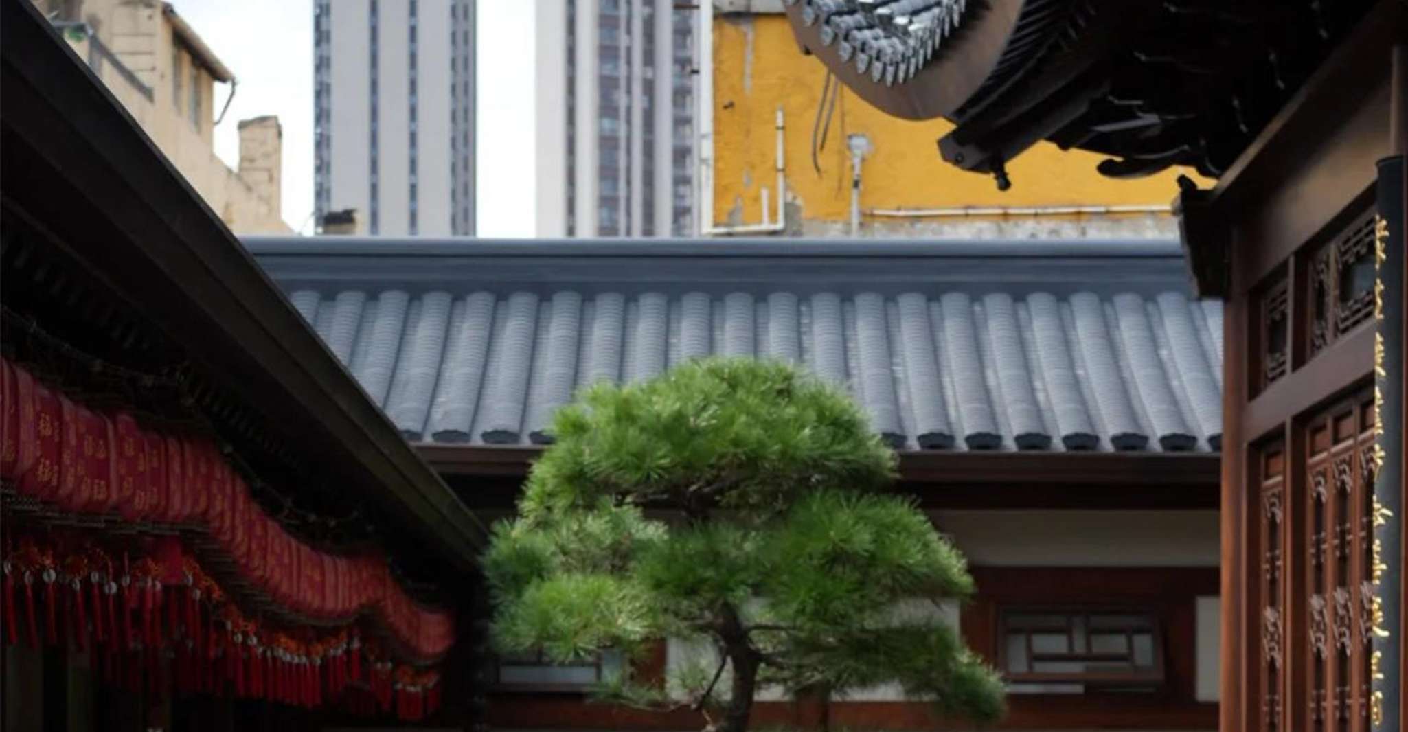 Shanghai: Jade Buddha Temple and Local Food Tour photo 4