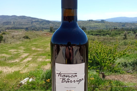 Covilhã - Winery Visit and Tasting of 3 Wines + Cheese Board