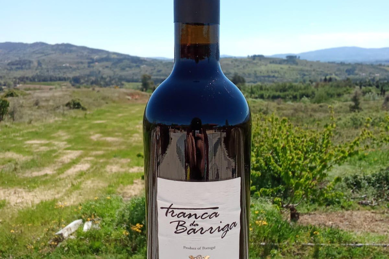 Covilhã - Winery Visit and Tasting of 3 Wines + Cheese Board