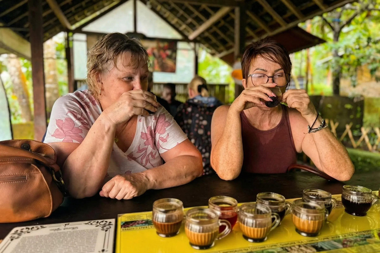 Ubud: Private Half-Day Tour Rice Terrace, Temple & Waterfall Private Half-Day Tour (With Entrance Tickets)
