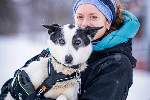 From Tromsø: Dog Sledding Experience with Transfer Dog Sledding Experience: Tour 1 [08:00]