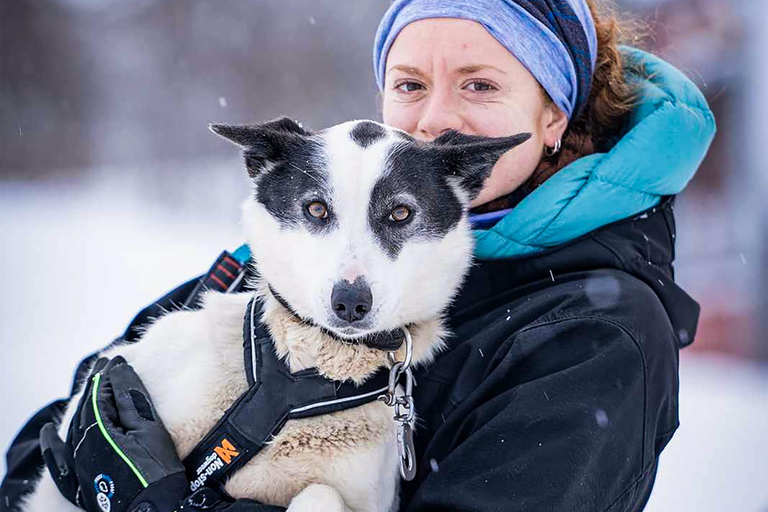 From Tromsø: Dog Sledding Experience with Transfer Dog Sledding Experience: Tour 1 [08:00]