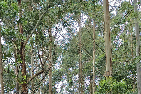 Ella: NineArches Bridge,Mini adam's peak and Waterfalls Tour