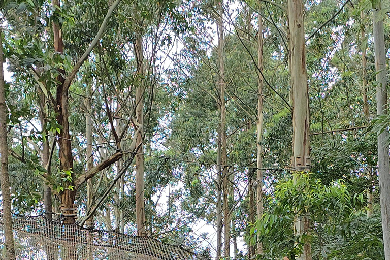 Ella: NineArches Bridge,Mini adam's peak and Waterfalls Tour