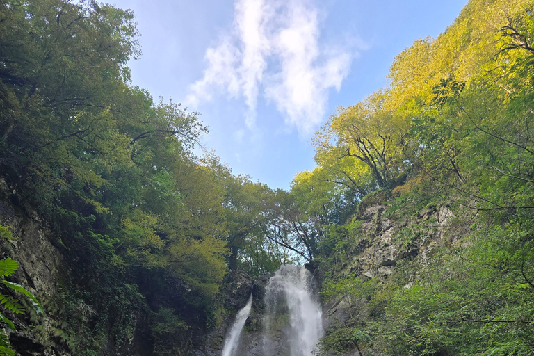 Private Full Day Tour from Batumi to Waterfalls