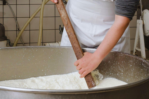 Vico Equense: Cheese-Making Class with Tasting