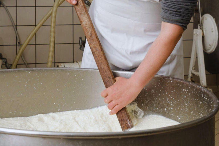 Vico Equense: Cheese-Making Class with Tasting