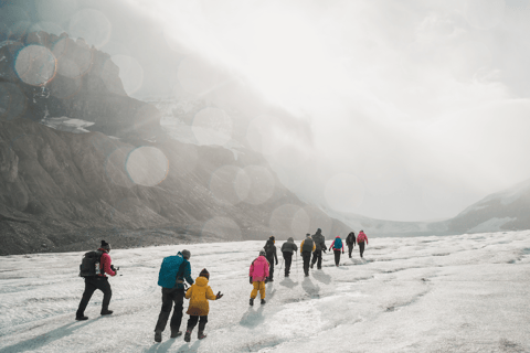 Columbia Icefield: Guided Glacier Hike