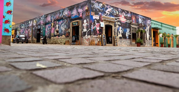 Oaxaca: The Art of Death Mural Walking Tour in Jalatlaco